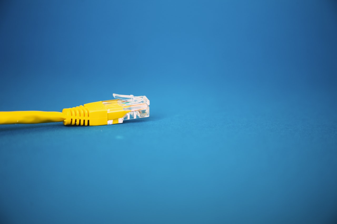 rj45 blue